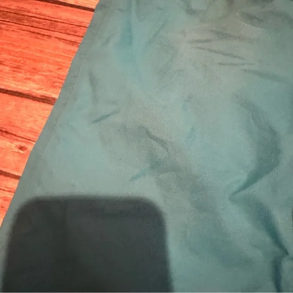 North face blue snow pants